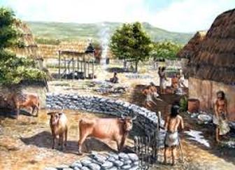 what happened in the neolithic revolution